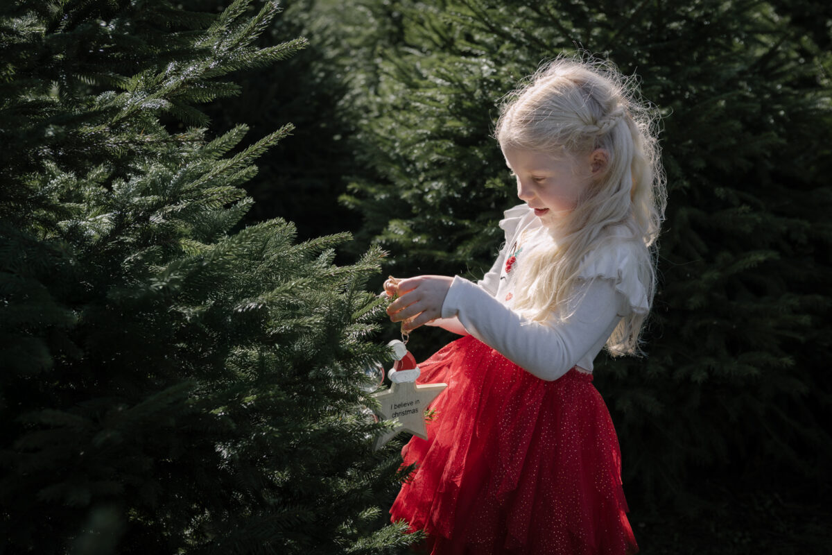 Little girls handing a decoration on a real christmas tree outside