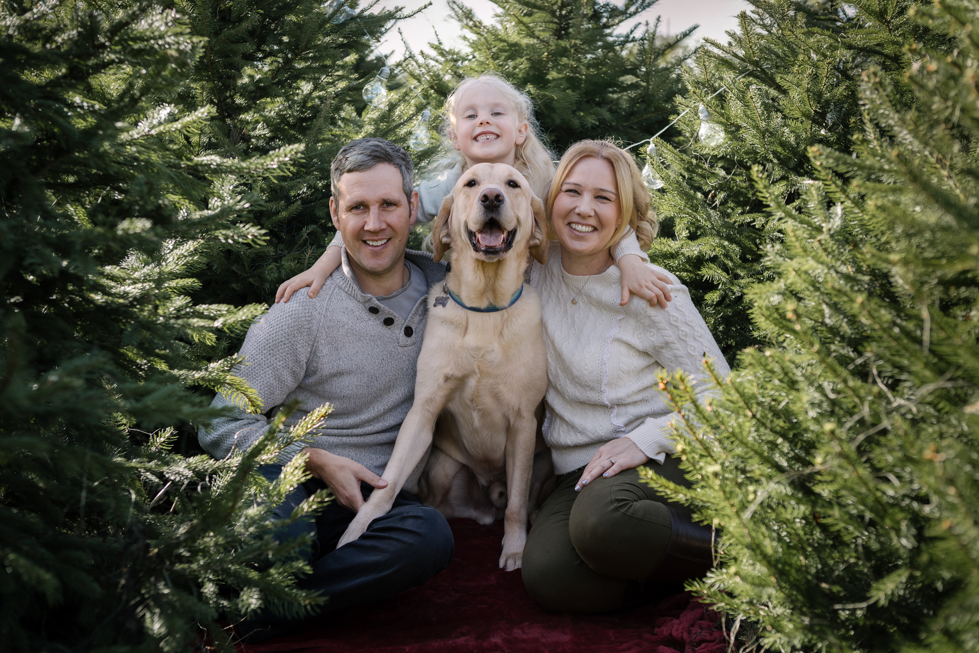 A family with dog sitting between real christmas trees